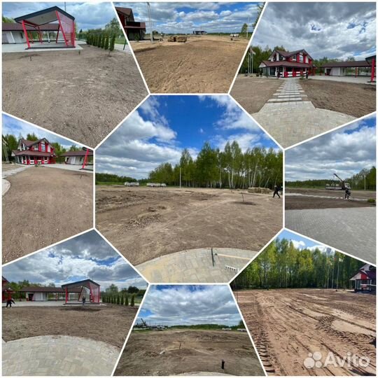 Рулонная газонная трава