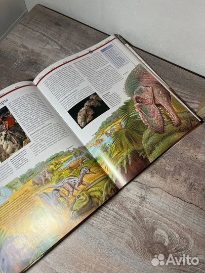 Энциклопедии про динозавров 3 шт