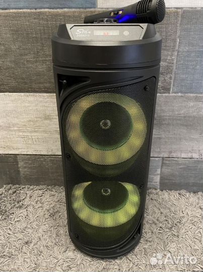 Большая портативная колонка с караоке