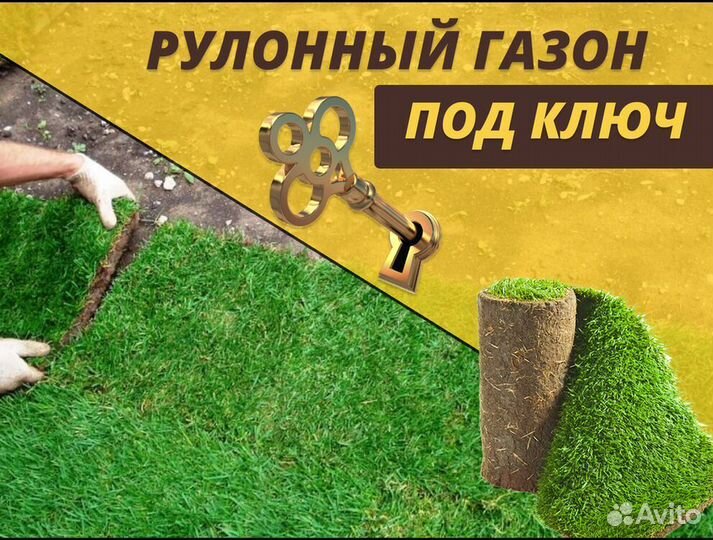 Газон рулонный