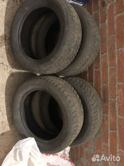 Gislaved Nord Frost 5 205/55 R16