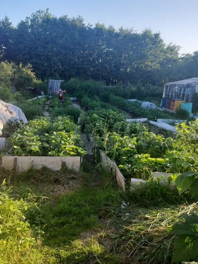 Дом 39 м² на участке 15 сот.