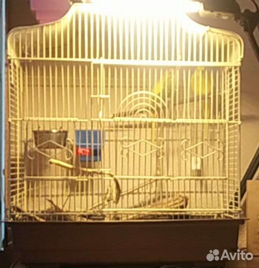 Клетка для попугая