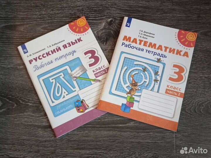 Рабочие тетради по русскому и математике
