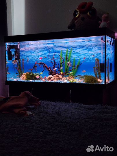 Аквариум с тумбой 320 литров