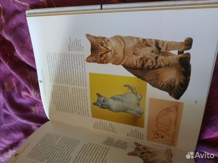 Книги о кошках