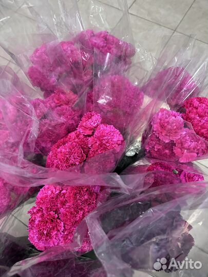 Гвоздика оптом