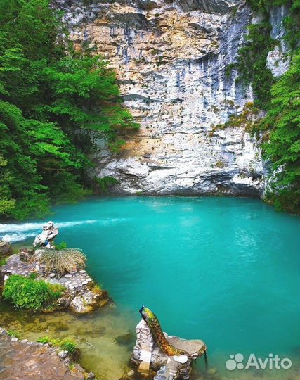 Продажа экскурсий по Сочи и Абхазии