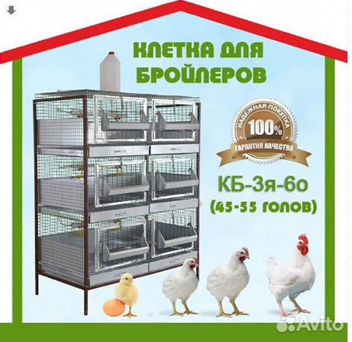 Размеры клеток для бройлеров на 30 голов. Клетки для бройлеров 6 на 3. Клетка для бройлеров Размеры на 10 кур. Размеры клеток для бройлеров. Клетки для бройлеров чертежи.