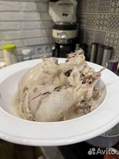 Курица для собаки