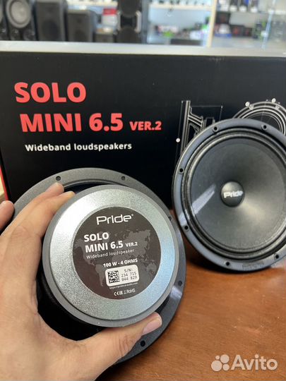 Динамики Pride Solo mini 6,5 v2 (100 Вт) 16,5 см