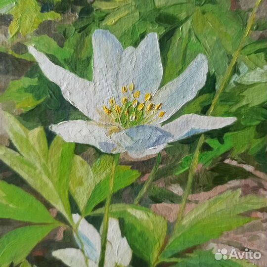 Миниатюрная картина с цветами маслом на картоне