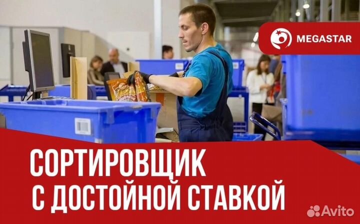Местно / Сортировщик / мб