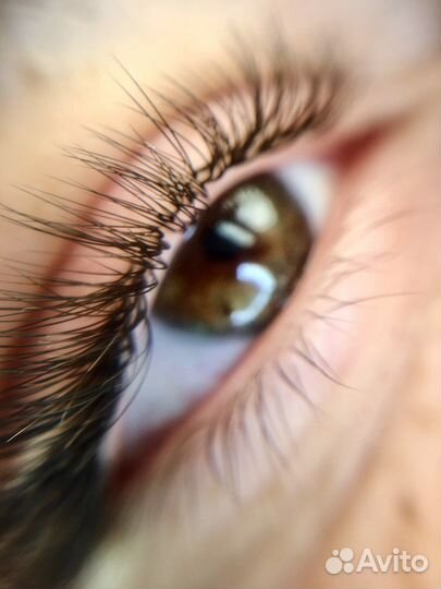 Бровист/Наращивание ресниц