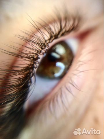 Бровист/Наращивание ресниц