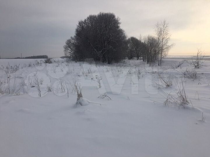 Участок 50 сот. (ИЖС)