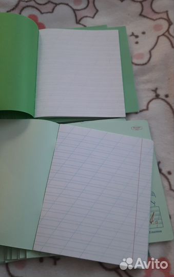 Тетради в косую линейку 12л