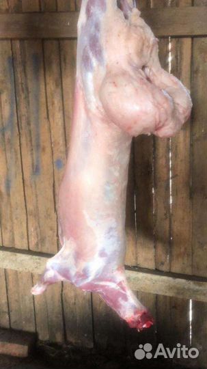 Мясо баранины