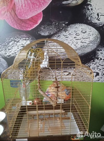 Клетка для попугая