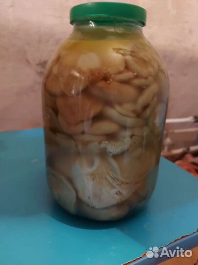 Грибы грузди соленые