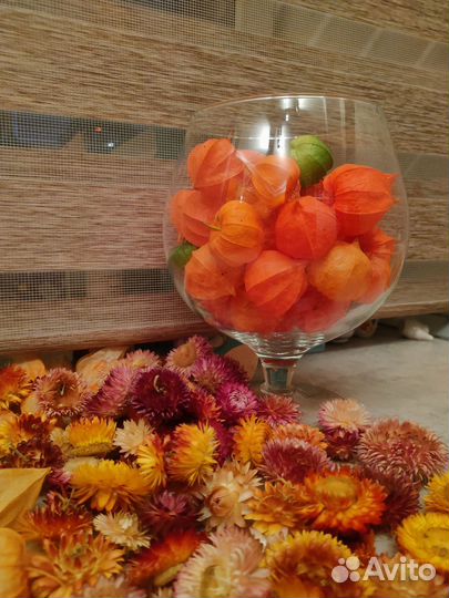 Сухоцветы для творчества и декора