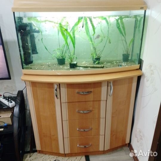Аквариум панорамный с тумбой б/у