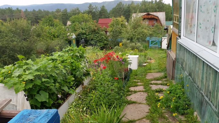 Дача 44 м² на участке 8 сот.