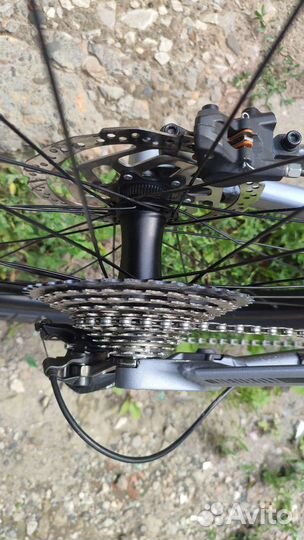 Canyon neuron al M 29er