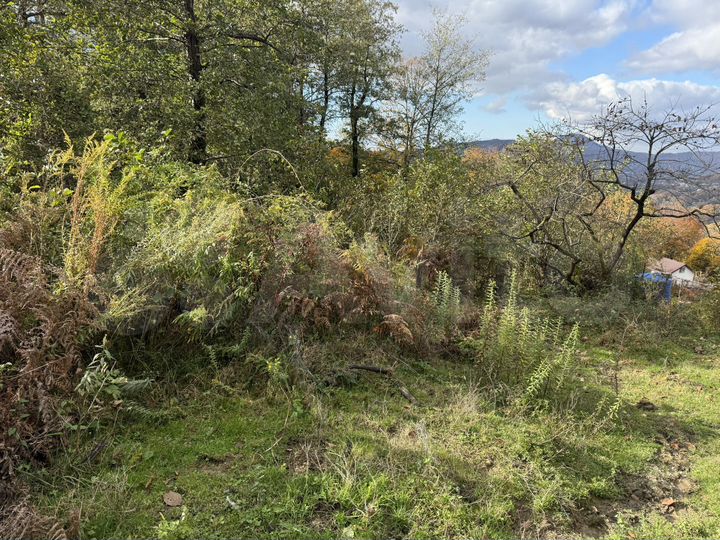 Участок 11,6 сот. (СНТ, ДНП)