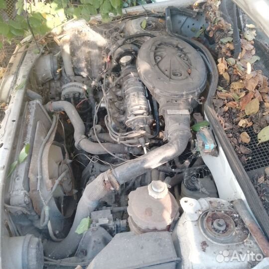 Рено 19 на запчасти