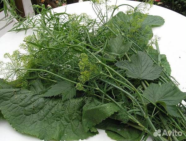 Букет для засолки