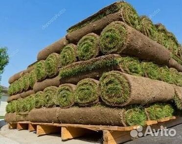 Газон рулонный гарантия