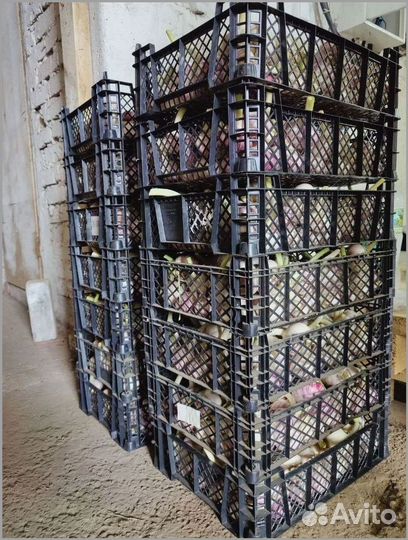 Готовый бизнес с высокой доходностью