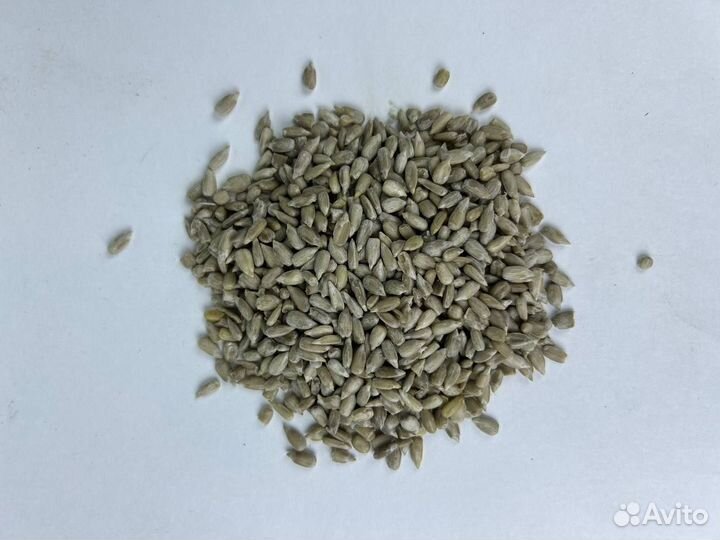 Подсолнечник / Семена подсолнечника