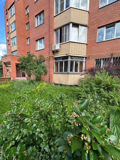 1-к. квартира, 40,3 м², 1/5 эт.