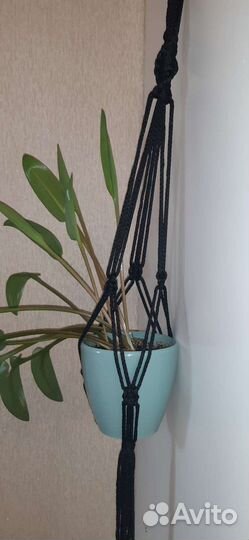 Подвес для кашпо.В технике макраме