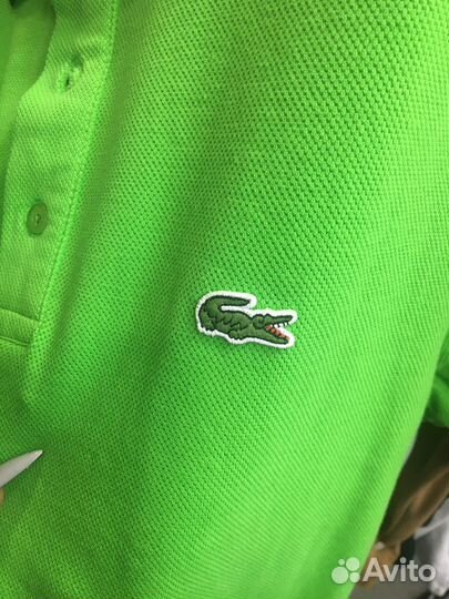 Поло Lacoste xxl