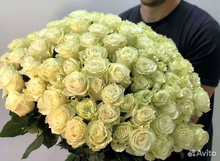 Розы гиганты 140 150 160 170 180 200