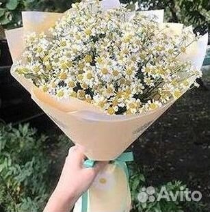 Цветы ромашки. Букеты ромашек. Цветы доставка