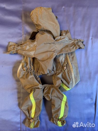 Одежда для собак