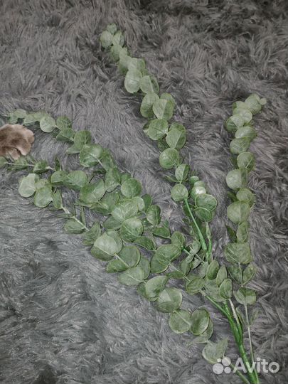 Эвкалипт искусственный для декора