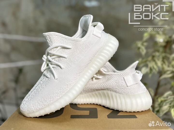 Adidas yeezy boost 350 v2