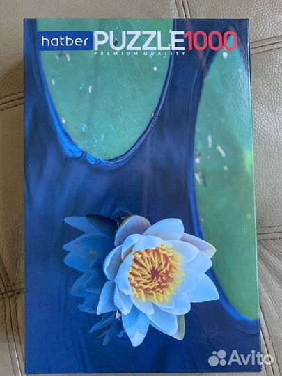 Пазлы hatber 1000