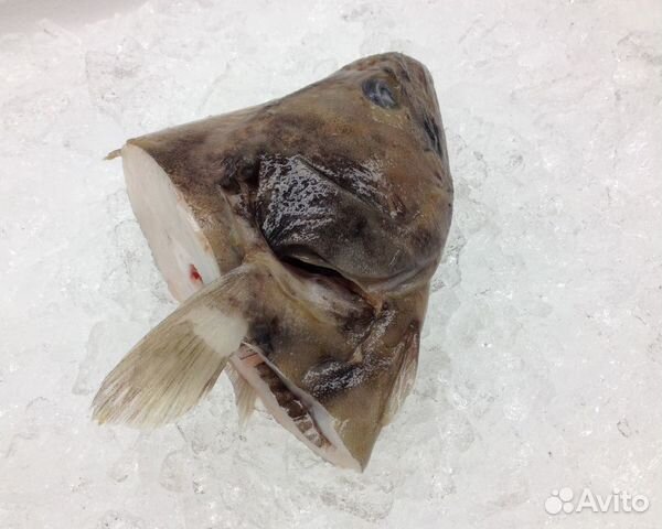 Головы палтуса свежемороженые
