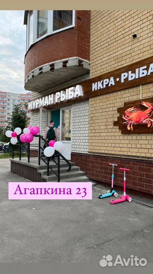 Северные креветки 250+ Мурманск