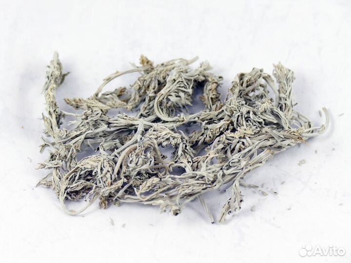 Кас-81 для пчёл