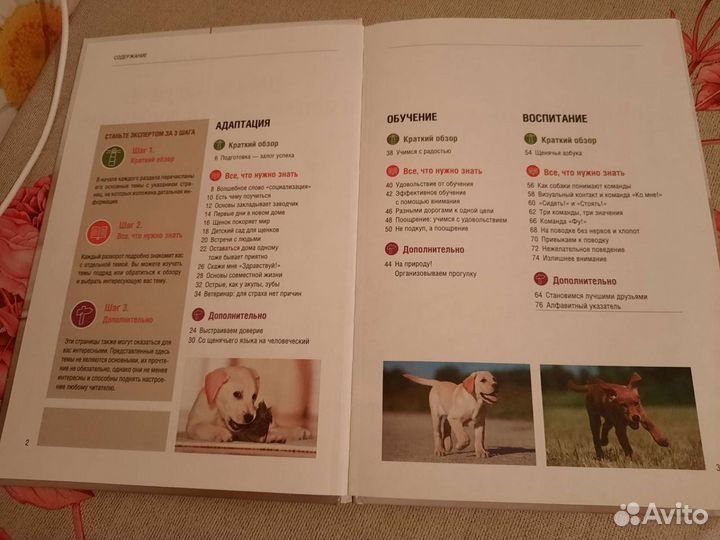 Книга обучение и воспитание щенков