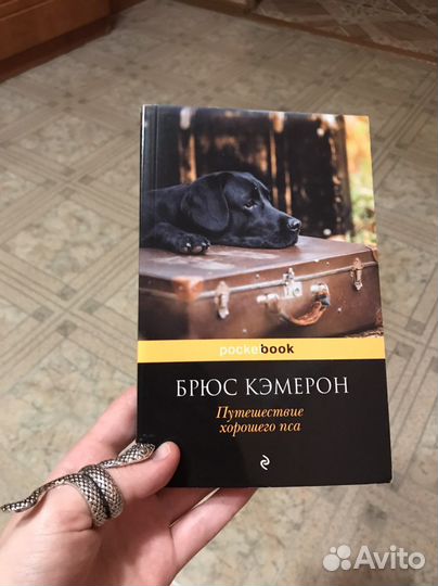 Брюс Кэмерон