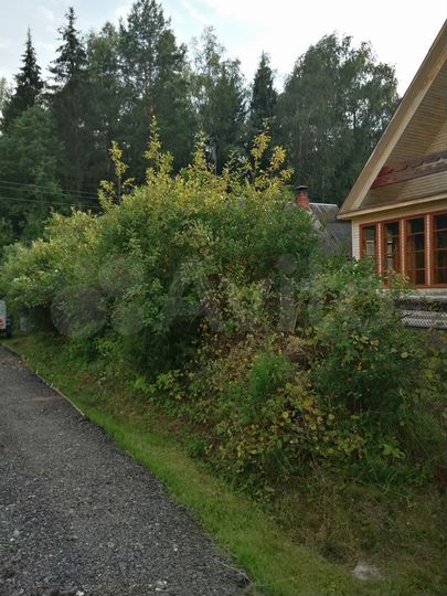 Дача 40 м² на участке 6 сот.