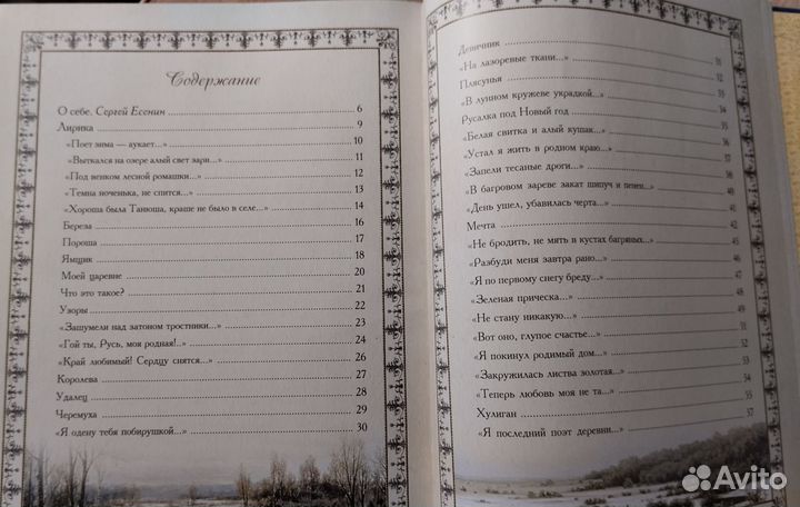 Есенин С. А. стихи